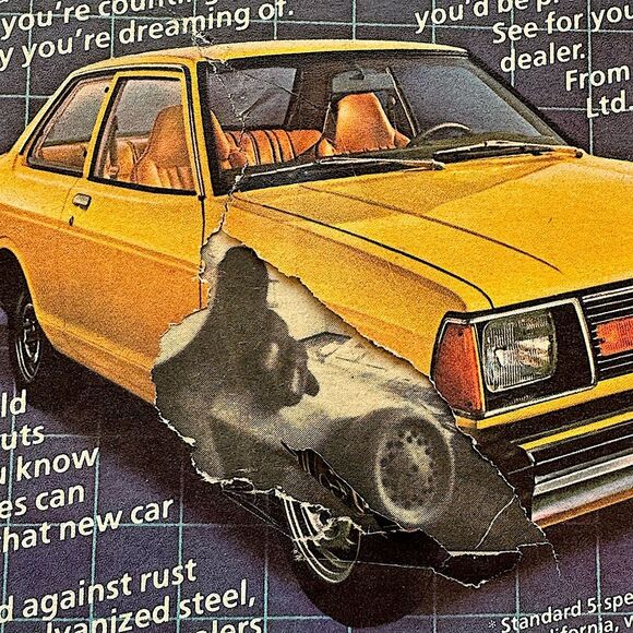 Vintage Rolling Stone Magazine #340 Roman Polanski Mike Bloomfield Dwyer 1981 - Picture 12 of 12